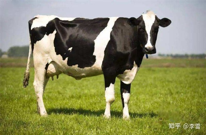 为什么国产牛奶比进口牛奶贵？