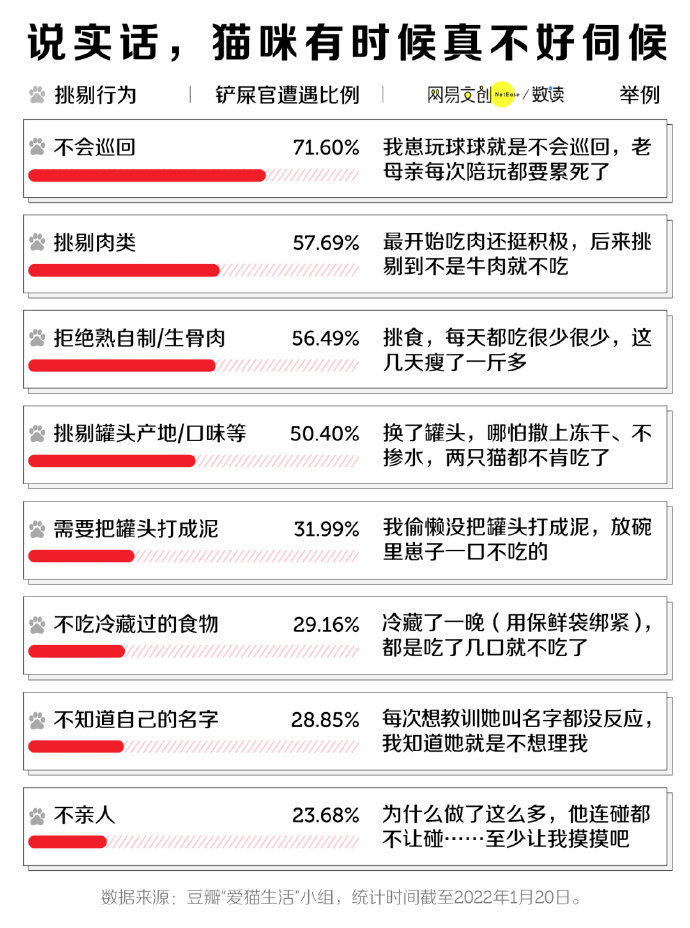 养猫劝退指南，每一条都扎心-PK技术网