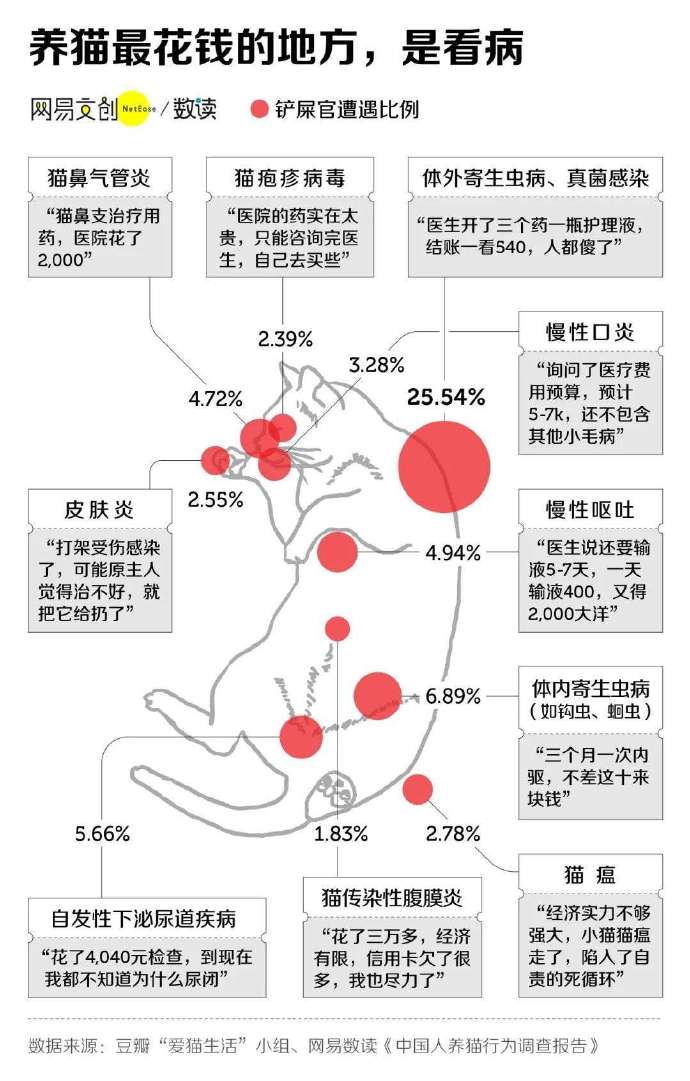 养猫劝退指南，每一条都扎心-PK技术网