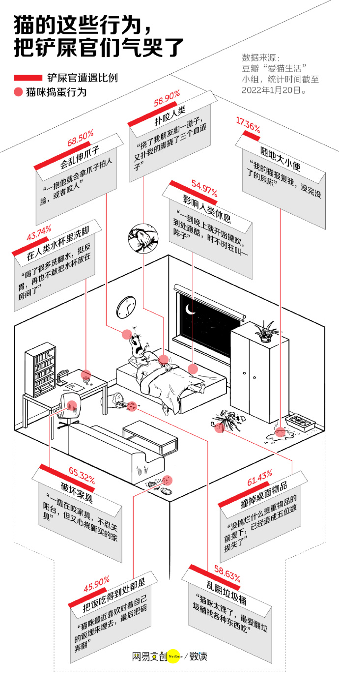 养猫劝退指南，每一条都扎心-PK技术网