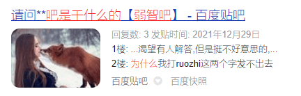 弱智吧搞了个年度盘点，结果被抄得底裤都不剩-PK技术网